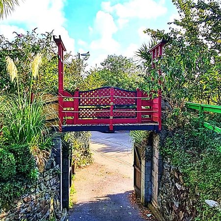 Palm Cottage Redruth Kültér fotó