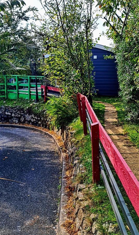 Palm Cottage Redruth Kültér fotó